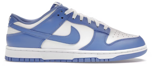 Nike Dunk Low Polar Blue